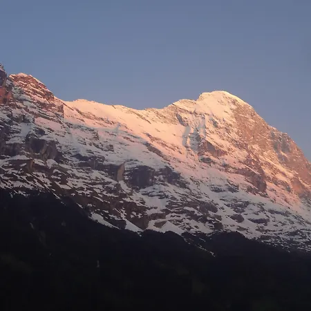 Bel-air Eden Kro Grindelwald