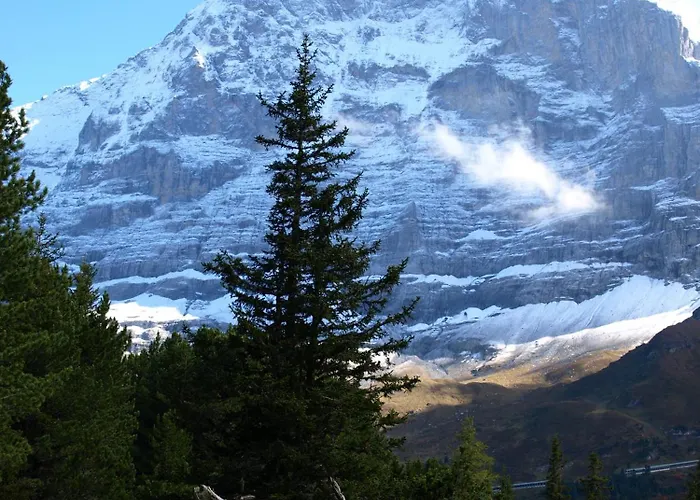 Mini-hôtel Bel-air Eden 2*