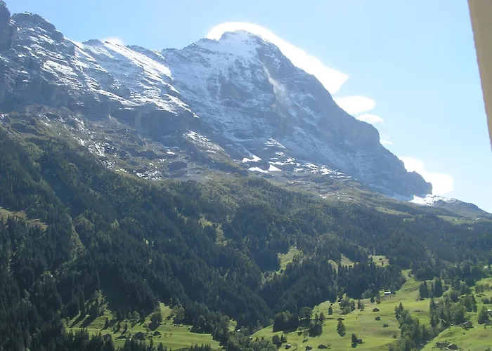 Bel-air Eden Grindelwald