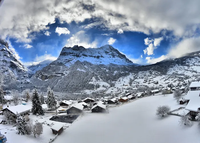 Bel-air Eden Grindelwald