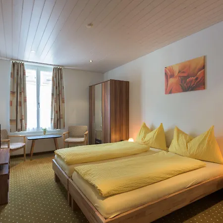 Bel-air Eden Mini-hôtel Grindelwald