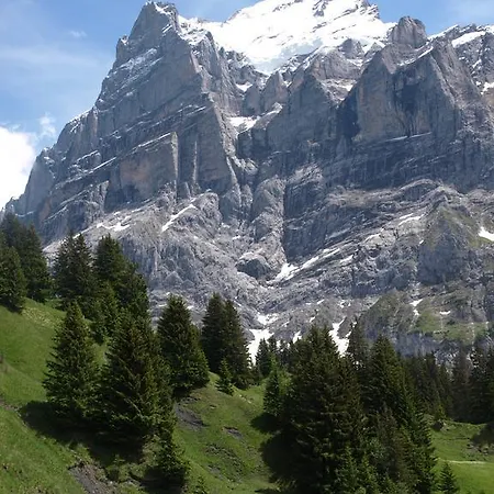 Bel-air Eden Inn Grindelwald