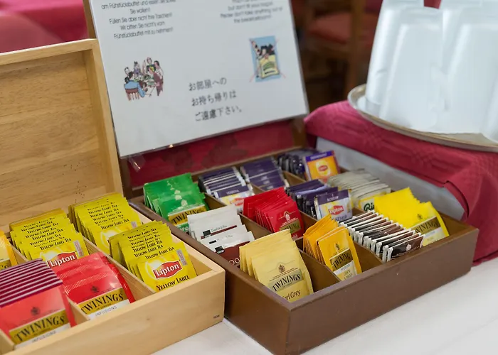 Bel-air Eden Värdshus Grindelwald